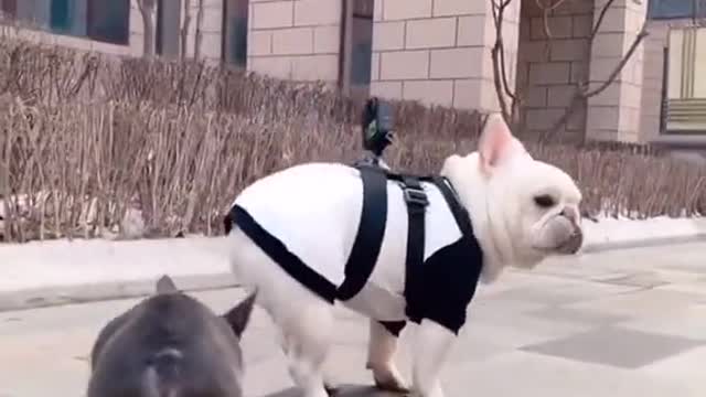 TAKING RIDE TODETHER