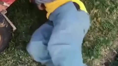 The End 😂😂😂 #viral #shorts #reels #funny #fails