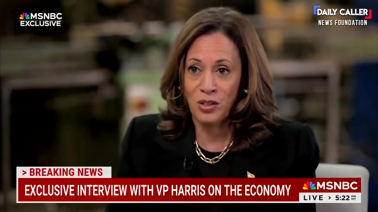 Politics - 2024 Fake News MSNBC Interview With Liberal Demoncrap Globalist Communist Kamala Harris