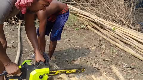 Tree Catar. Video in the Bangladesh. FunnyKing10