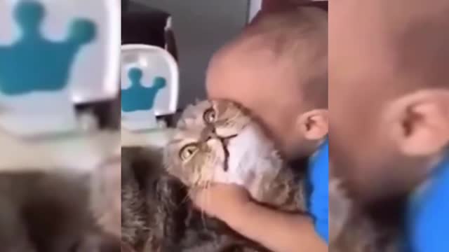 Does the little master like me so much?