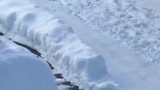 Little boy walking in snow falls