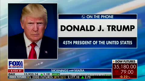 President Trump lets the cat out of the bag...