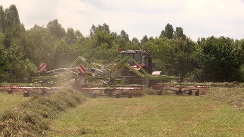 Grass cutting machine | Ground grass moving