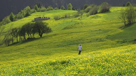 A Woman walking through a green valley