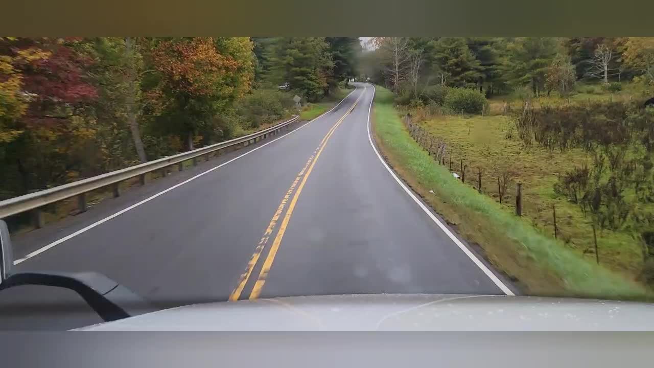 Fall, Foliage, Fog & Freedom