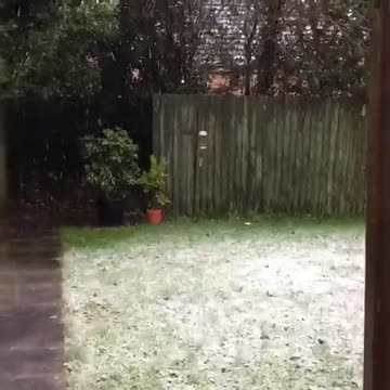 Este gato tiene una hermosa reacción al ver nieve por primera vez