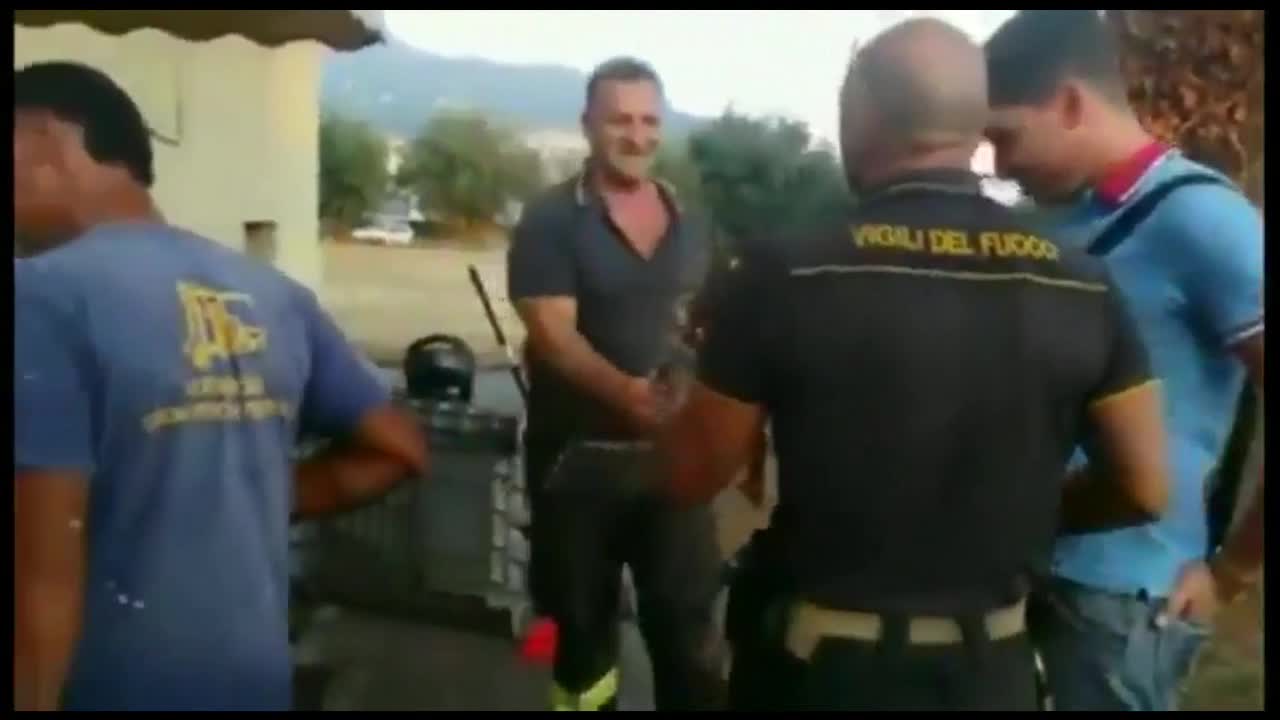 Italian firefighter saves small kitten and then cries his heart out 💖💘