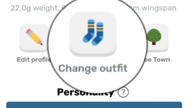 How To Change Outfit in Mypetfinchapp