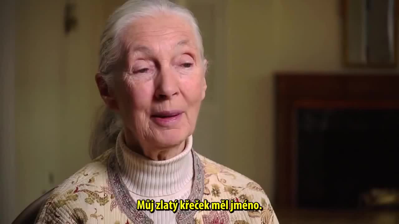 Jane goodall o empatii a lidském potenciálu