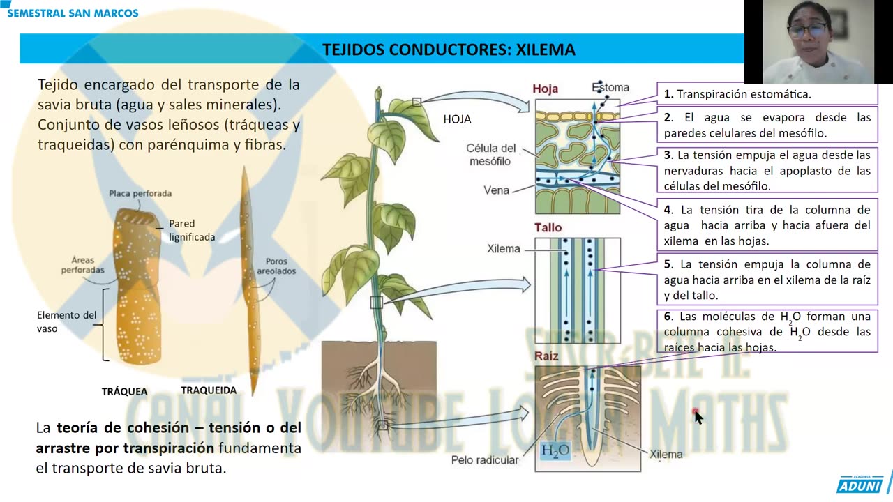 SEMESTRAL ADUNI 2023 | Semana 12 | Biología