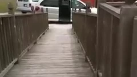 An Exciting Way to Use a Wheelchair Ramp!