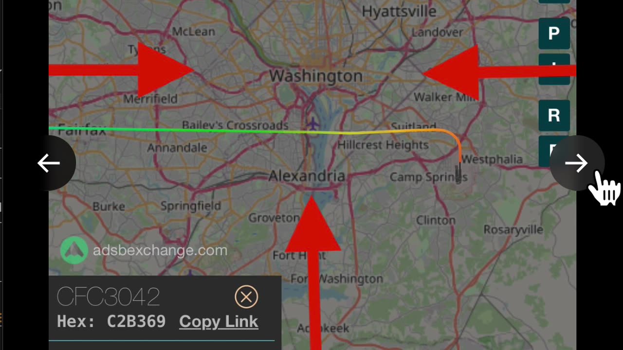 ✈️ BIRDS OVER DC ~ Derek Johnson