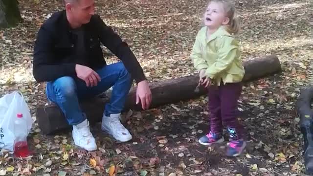 artificial leaf fall
