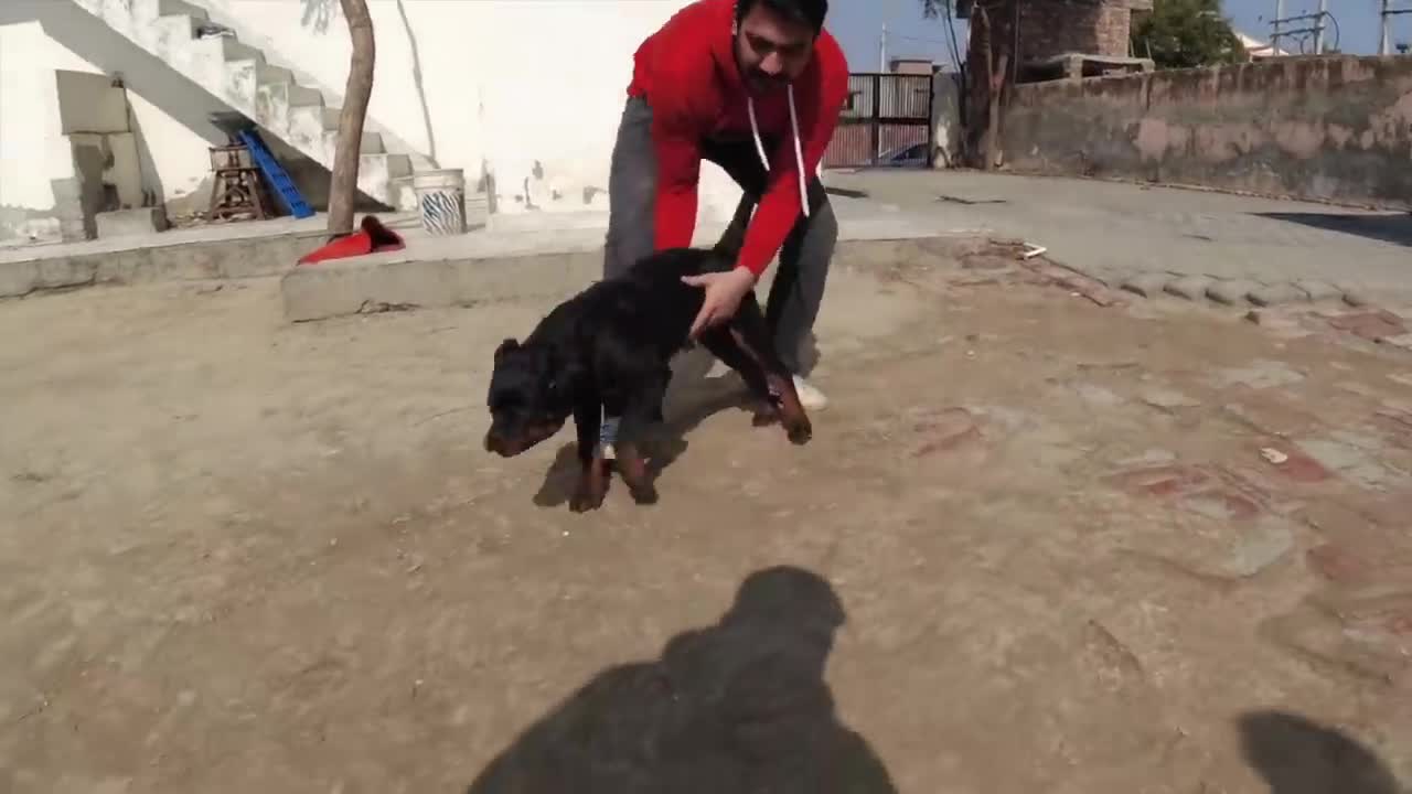 https://youtu.be/usxuGdyqaZM