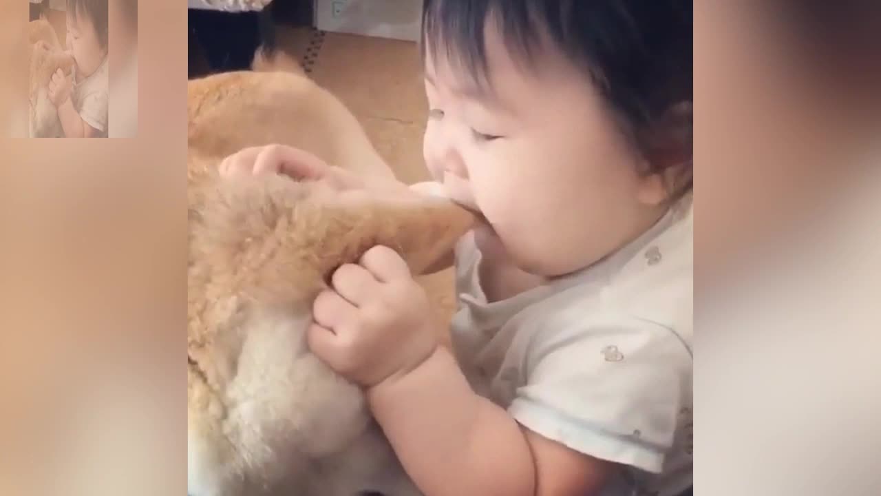 Little master is biting the dog's ear