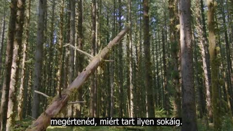 The Whole World is a Stage Part1 Magyar felirattal