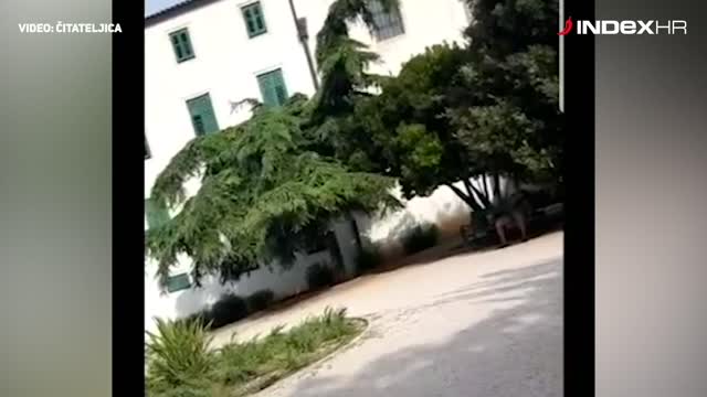 Samozadovoljavao se u šibenskom parku