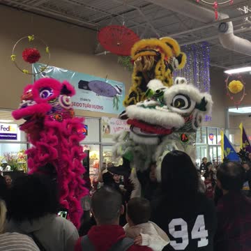 Chinese New Year Celebration