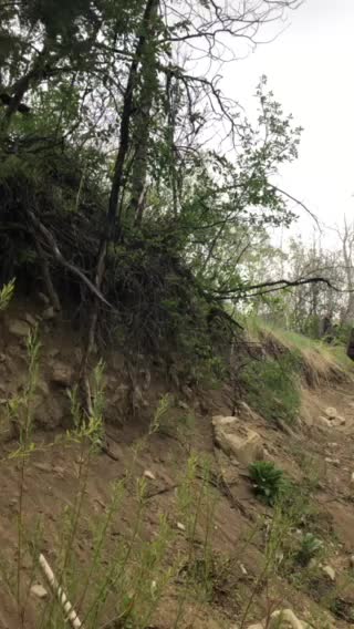 Snowfall and a beautiful mountain stream in Utah