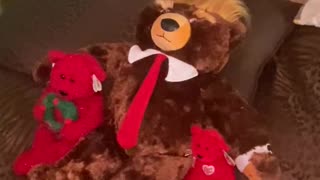 President Trumpy Bear