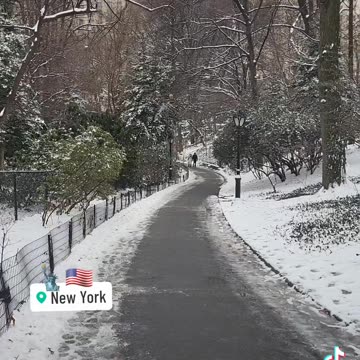 New York City Manhattan America USA Central Park