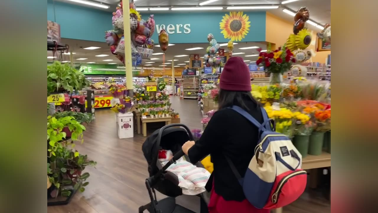 Terry Goes Shopping - Kroger