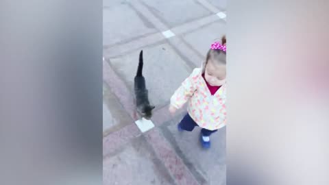 Funny Baby and Cat Video