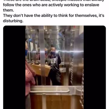 Societal Hypochondria / Masked Meltdown