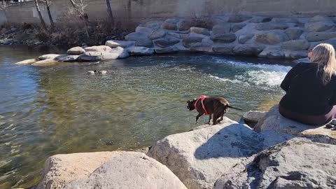 Jazzie's First River Trip