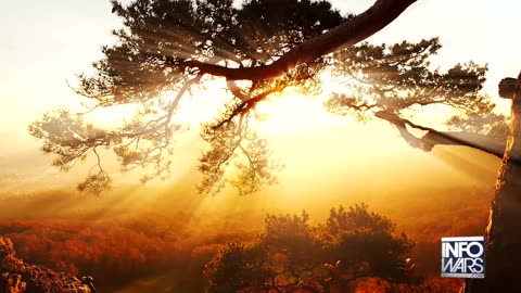 Hollywood NWO Whores Go To Hell