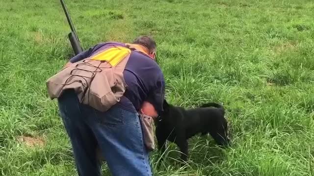 Aru Upland field trial training ufta format September 2020