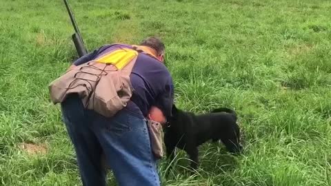 Aru Upland field trial training ufta format September 2020