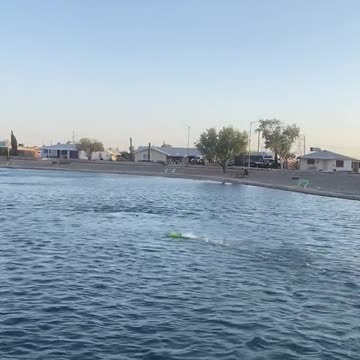 There are a lot of weird things in the water