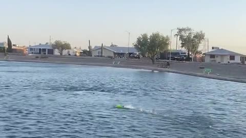 There are a lot of weird things in the water