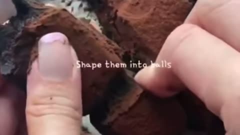 Cocoa balls and sweetened milk