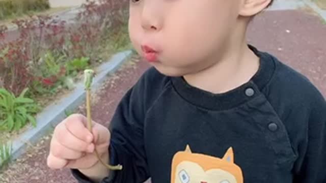 Cute baby blowing dandelion spore