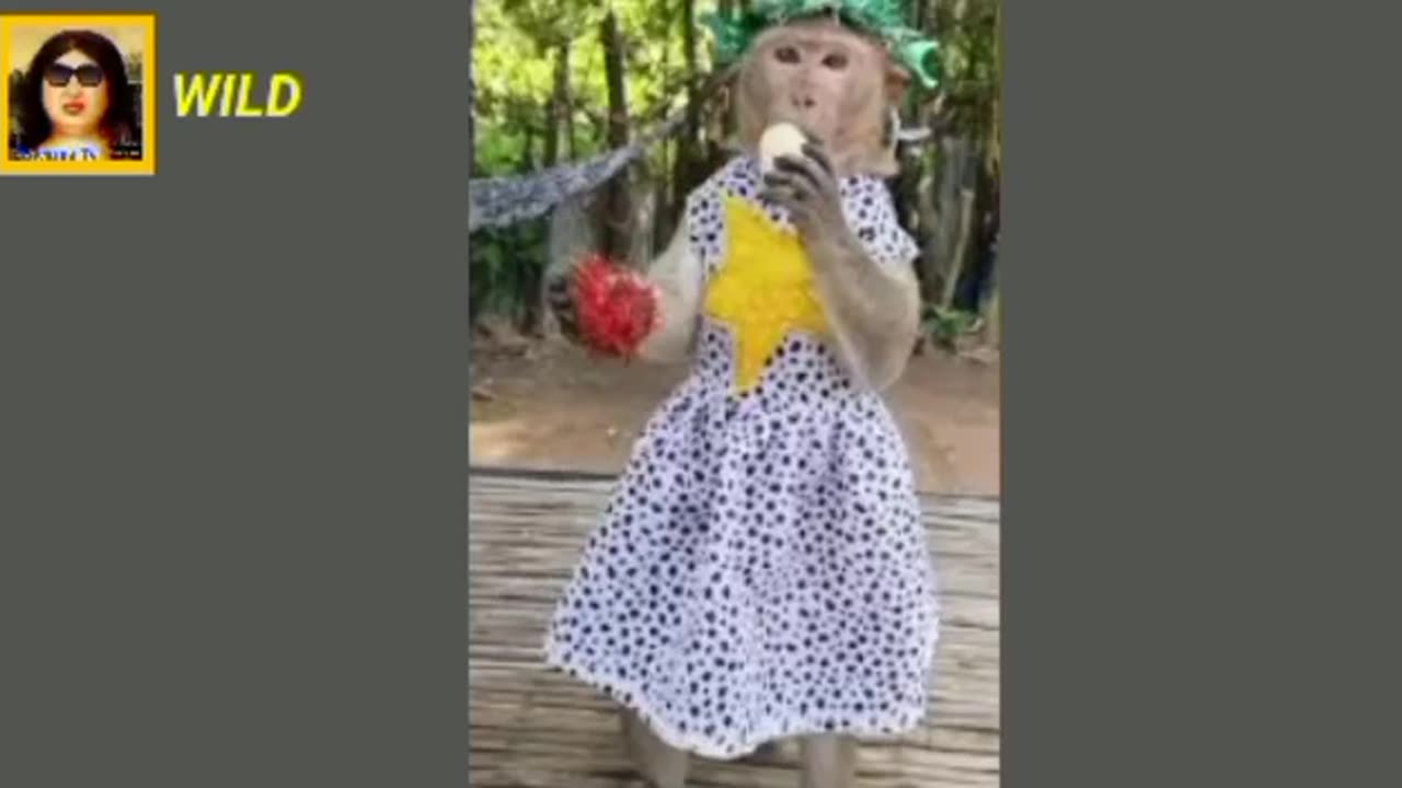 Funny clip