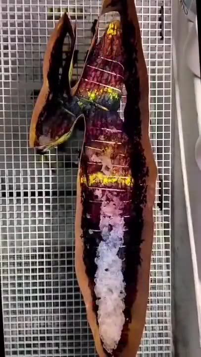 Not really what I expected, but not disappointed at all