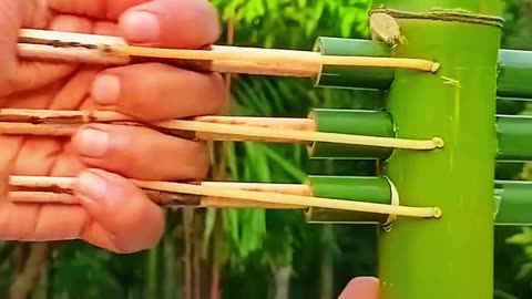 Deadly weapon made by bamboos