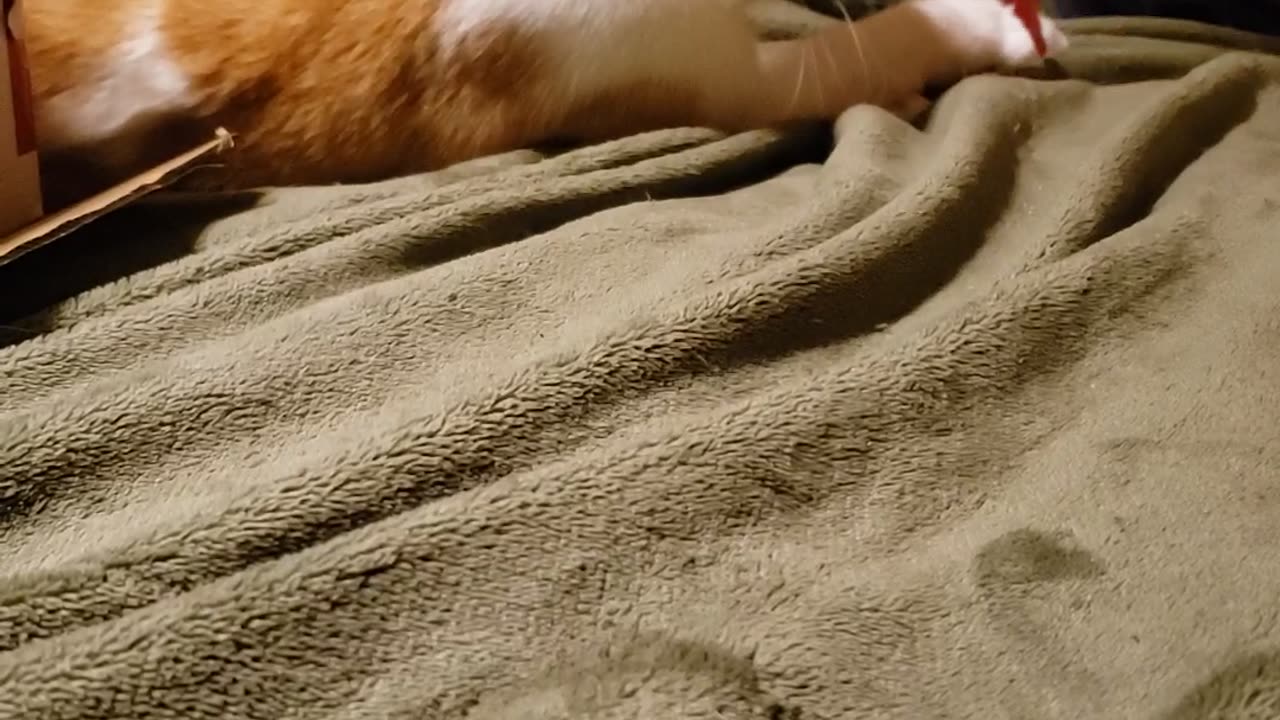 Give me that!!
