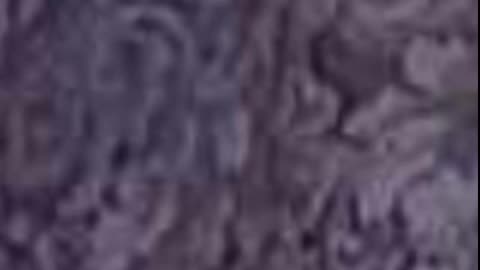 Digiart 7