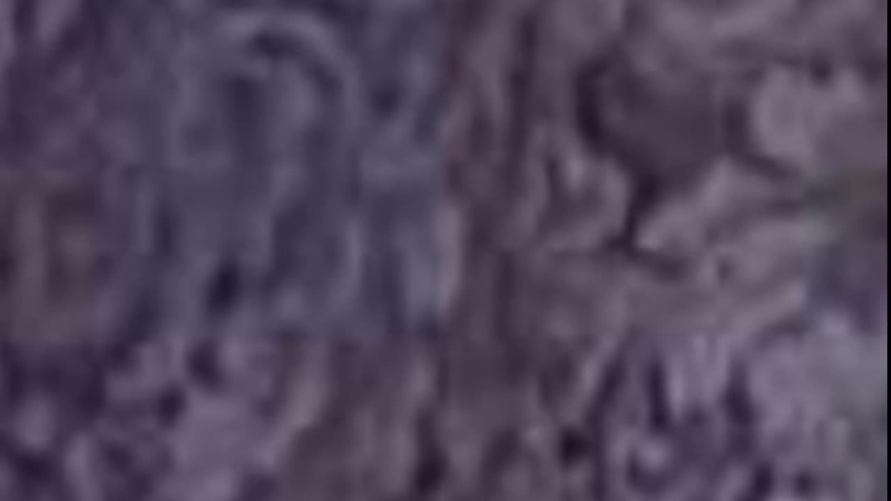 Digiart 7