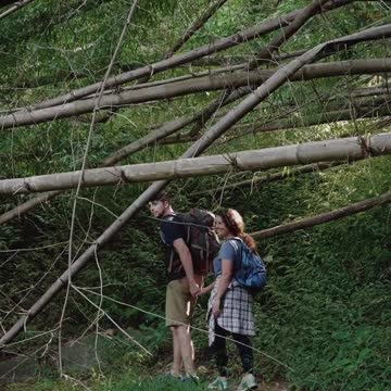 Amazon Wildlife In 4K - Animals That Call The Jungle Home | Amazon Rainforest | Relaxation Film