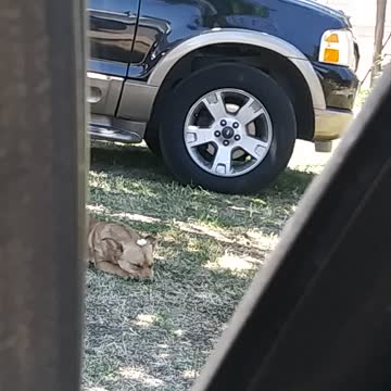 Super hot these days