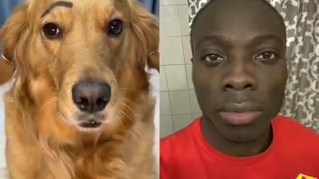 funny videos,funny video,funny