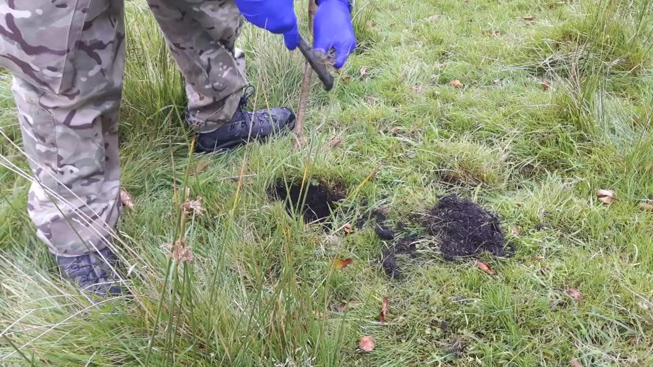 Digging a cat hole