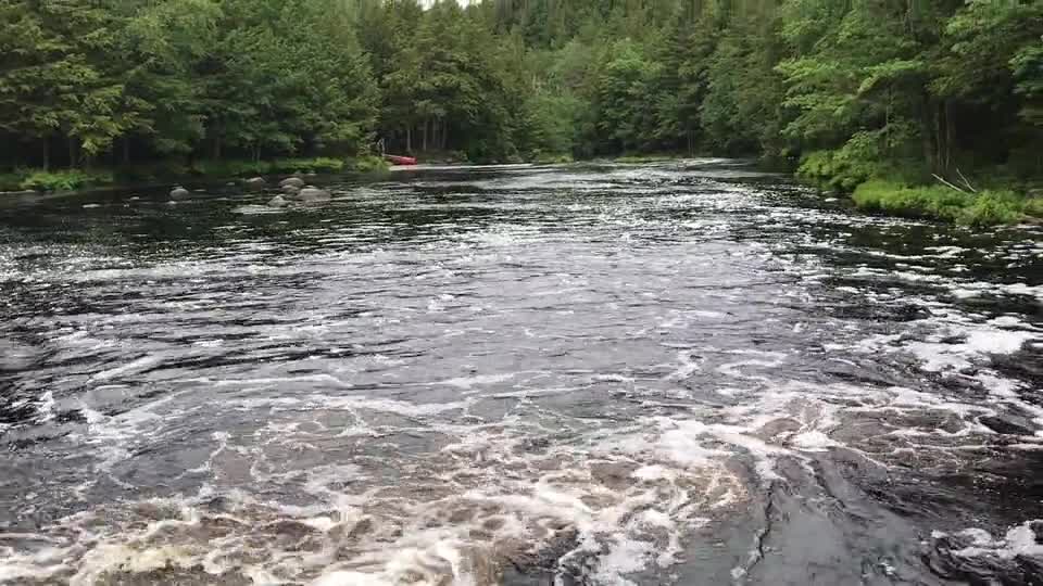 The water of the river is flowing so very fast