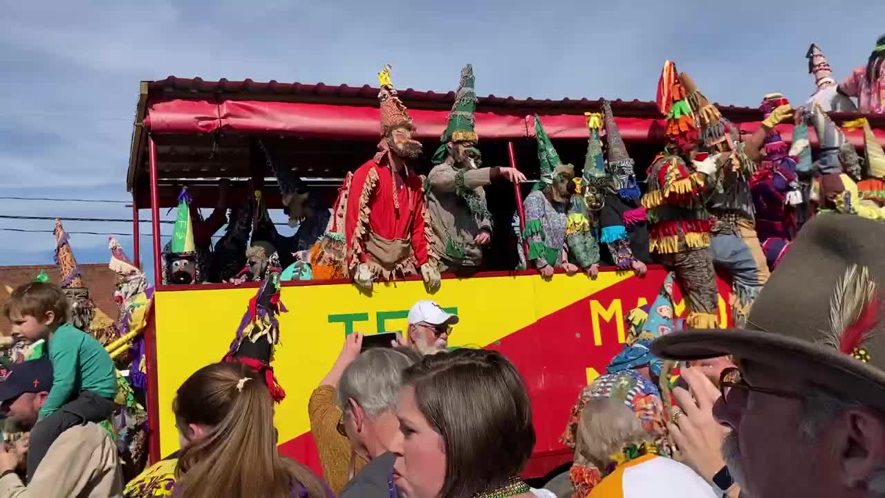 Tee Mamou-Iota Mardi Gras