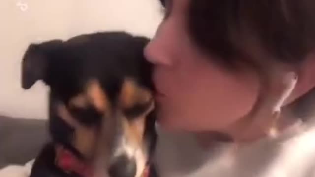 the funny reaction for the dog
